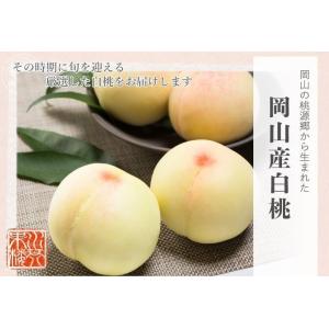 2026 お中元 岡山産白桃 3玉 約800g...の詳細画像1