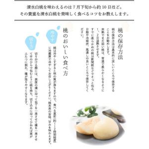 2026 お中元 岡山産白桃 3玉 約800g...の詳細画像5