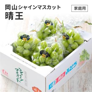 2026 岡山県特産 シャインマスカット 晴王 家庭用 訳あり 約2kg 3〜5房 ぶどう ブドウ 葡萄 フルーツ 7月中旬頃より発送