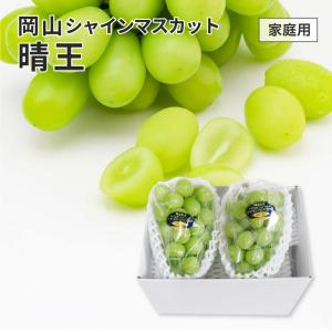 2025 お中元 岡山県特産 シャインマスカット 晴王 家庭用 訳あり 約400g×2房 ぶどう ブドウ 葡萄 フルーツ 7月上旬頃より発送