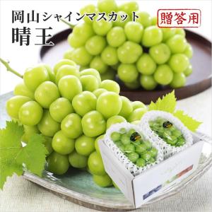 2025 お中元 岡山県特産 シャインマスカット 晴王 青秀品 約600g×2房 化粧箱入り ぶどう ブドウ 葡萄 フルーツ ギフト プレゼント 7月上旬頃より発送 爆買