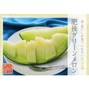 熊本県産 肥後グリーンメロン ギフト 秀品 6...の詳細画像1