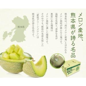 熊本県産 肥後グリーンメロン ギフト 秀品 6...の詳細画像2