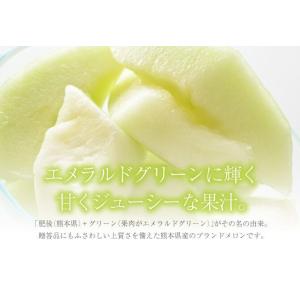 熊本県産 肥後グリーンメロン ギフト 秀品 6...の詳細画像3
