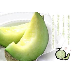 熊本県産 肥後グリーンメロン ギフト 秀品 6...の詳細画像4