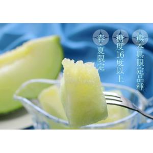 熊本県産 肥後グリーンメロン ギフト 秀品 6...の詳細画像5