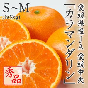 2025 あいか お歳暮 ギフト M~2Lサイズ 約1.5kg 紅まどんなと同品種