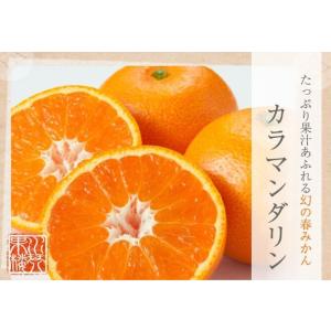 カラマンダリン 家庭用 訳あり S〜Mサイズ ...の詳細画像1