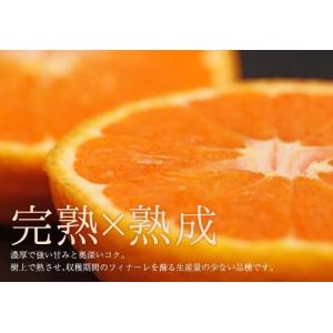 カラマンダリン 家庭用 訳あり S〜Mサイズ ...の詳細画像3