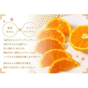 カラマンダリン 家庭用 訳あり S〜Mサイズ ...の詳細画像4