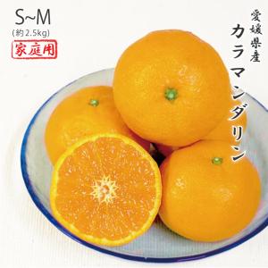 カラマンダリン 家庭用 訳あり S〜Mサイズ 約5kg 愛媛県 フルーツ