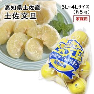 贈答用 温室文旦 3kg 5〜7玉入ギフト用化粧箱入ハウス文旦 高知産