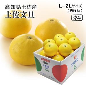 高知産　温室大玉水晶文旦　14玉前後　約９、５ｋｇ（箱込み）　北海道沖縄発送不可 水晶文旦」高知県産 マル秀〜秀 約3kg（5〜7玉）化粧箱 ※常温｜お