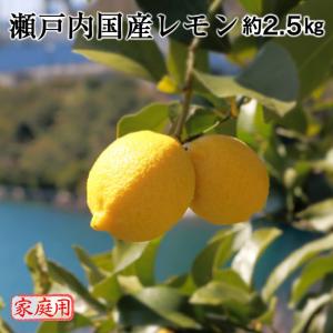 特に訳あり レモン 10kg +2kg 香川県産 国産 家庭用 加工用 果汁用