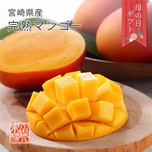 丸久小山園 若竹 200g (缶) 在庫10缶　2個目　8,600円 抹茶 宇治 丸久小山園 若竹 200g 缶詰(わかたけ）製菓 緑茶 粉末