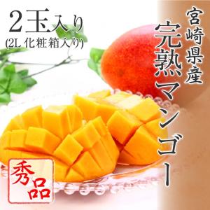 宮崎完熟マンゴー” 秀品 4Lサイズ 510g以上 パック入り 宮崎マンゴー