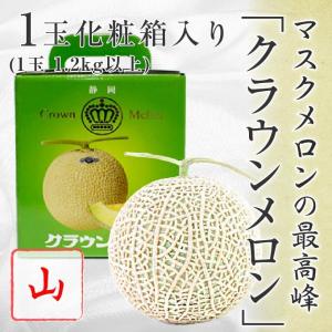 メロン プリンセスニーナ 秀品 1.2Kg×2玉 アールスメロン 高知県産 JA