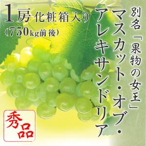 2026 お中元 ギフト 岡山県産 マスカット・オブ・アレキサンドリア 秀品 約750g 大房 1房入り ぶどう ブドウ 葡萄 フルーツ プレゼント (6月上旬頃より発送)