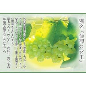 2026 お中元 ギフト 岡山県産 マスカット...の詳細画像2