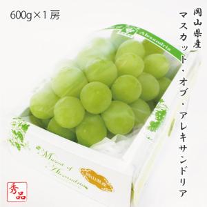 2026 お中元 ギフト 葡萄 ぶどう 岡山県産 マスカット・オブ・アレキサンドリア 秀品 約600g 1房入り ぶどう ブドウ 葡萄 フルーツ ギフト プレゼント (6月上旬