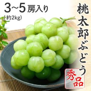 2026 お中元 ギフト岡山県特産 桃太郎ぶどう...の商品画像