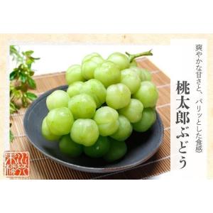 2026 お中元 ギフト岡山県特産 桃太郎ぶど...の詳細画像1