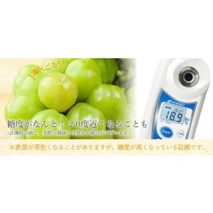 2026 お中元 ギフト岡山県特産 桃太郎ぶど...の詳細画像3