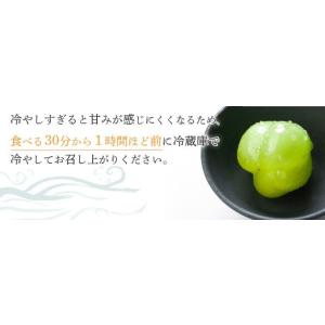 2026 お中元 ギフト岡山県特産 桃太郎ぶど...の詳細画像4