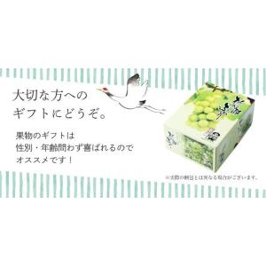 2026 お中元 ギフト岡山県特産 桃太郎ぶど...の詳細画像5