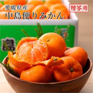2025 あいか お歳暮 ギフト M~2Lサイズ 約1.5kg 紅まどんなと同品種