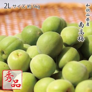 本場紀州産 木熟南高梅 3L 5kg ほんのり熟した香り高い南高梅 梅干し用