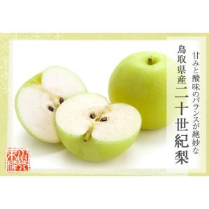(9月上旬頃より発送) 梨 なし ナシ 二十世...の詳細画像1