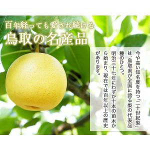 (9月上旬頃より発送) 梨 なし ナシ 二十世...の詳細画像2