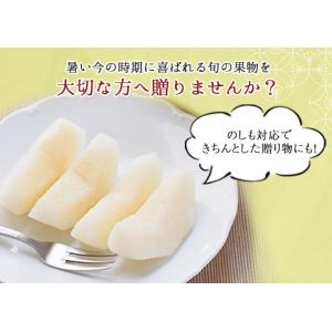 (9月上旬頃より発送) 梨 なし ナシ 二十世...の詳細画像5