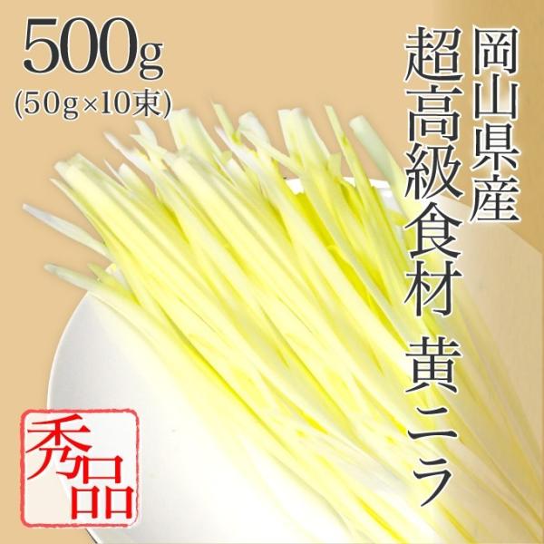 岡山県特産 超高級食材 黄ニラ 秀品 約500g(約50g×10束) にら 韮