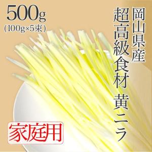 岡山県特産 超高級食材 黄ニラ ご家庭用 約500g(約100g×5束)