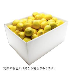 無農薬 岡山県産 国産レモン 約10kg 家庭...の詳細画像1