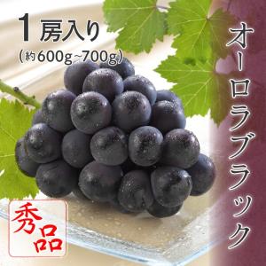 オーロラブラック 秀品 1房入り 約600g〜7...の商品画像