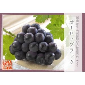 オーロラブラック 秀品 2房入り 約500g×...の詳細画像1