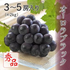 オーロラブラック 秀品 3房〜5房入り 約2kg 岡山県特産 ぶどう ブドウ 葡萄 フルーツ ギフト プレゼント 8月上旬頃より発送