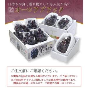 オーロラブラック 家庭用 訳あり 約500g×...の詳細画像4