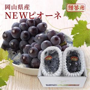 2026 お中元 ギフト 葡萄 ぶどう 岡山県産 ニューピオーネ 赤秀品 約600g×2房 化粧箱入り プレゼント フルーツ 6月下旬頃より発送