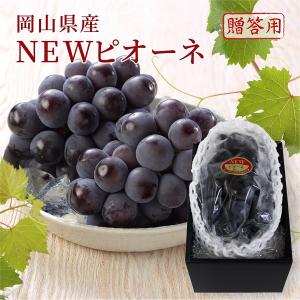 マイハート 希少品種 高級ぶどう 約1.2〜1.5kg 2房 山梨県産 非常に