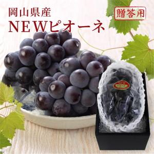 2026 お中元 ギフト 葡萄 ぶどう 岡山県産...の商品画像