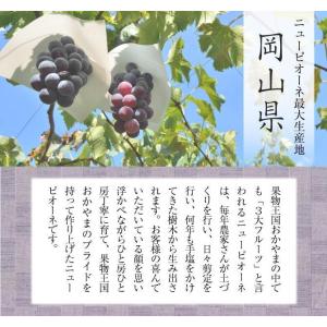 2026 お中元 ギフト 葡萄 ぶどう 岡山県...の詳細画像4