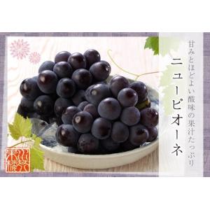 2026 お中元 ギフト 葡萄 ぶどう 岡山県...の詳細画像1
