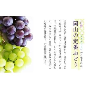 2026 お中元 ギフト 葡萄 ぶどう 岡山県...の詳細画像3