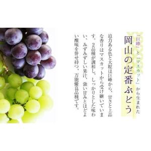 2026 ニューピオーネ 赤秀品 約2kg 3...の詳細画像3