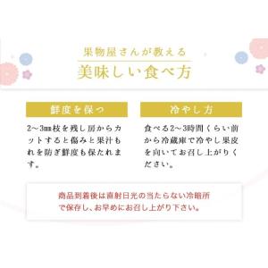 クイーンニーナ 約500g×2房 約1kg 秀...の詳細画像4