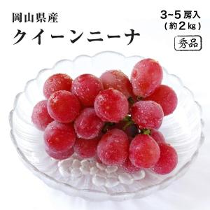 クイーンニーナ 3〜5房 約2kg 秀品 岡山県産 ぶどう ブドウ 葡萄 フルーツ ギフト プレゼント 8月下旬頃より発送